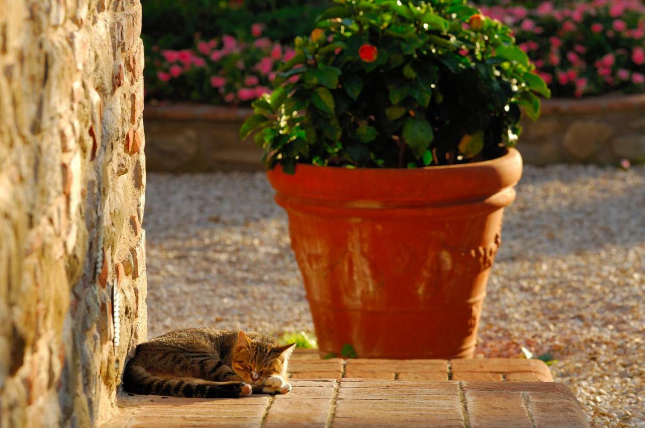 Hotel Relais Borgo Torale Passignano sul Trasimeno Exterior foto